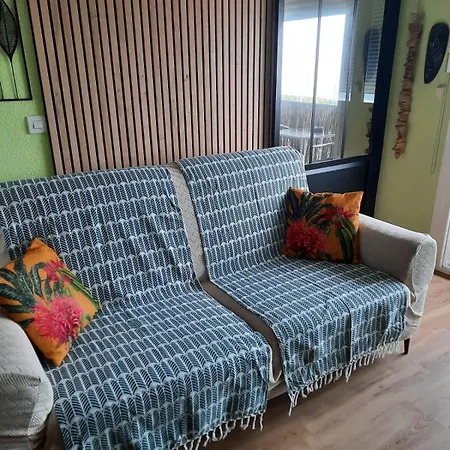 Daire Sol Y Mar Location 4 Personnes St Cyprien 2 Etoiles Fnaim *